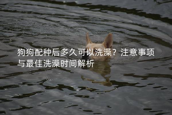 狗狗配種后多久可以洗澡？注意事項(xiàng)與最佳洗澡時(shí)間解析
