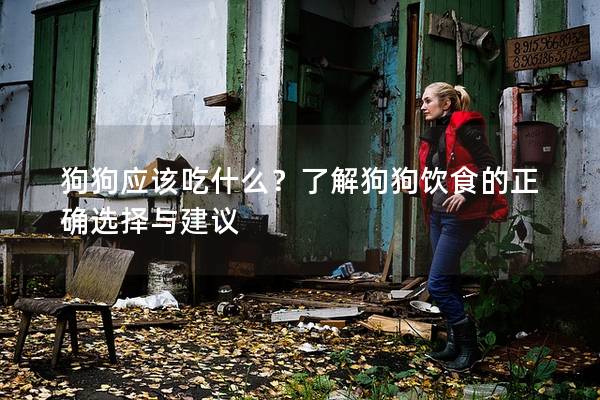 狗狗應該吃什么？了解狗狗飲食的正確選擇與建議