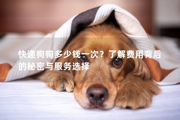 快遞狗狗多少錢一次?了解費用背后的秘密與服務選擇 快遞狗狗多少錢一次?了解費用背后的秘密與服務選擇