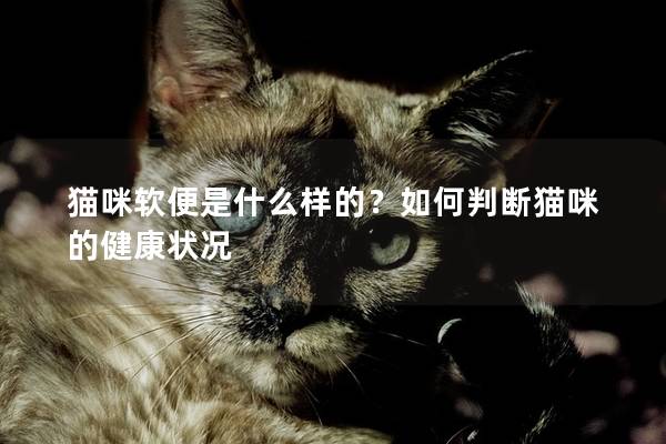 貓咪軟便是什么樣的？如何判斷貓咪的健康狀況