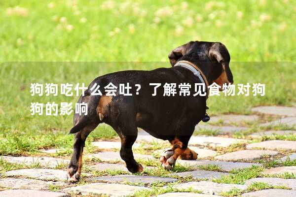 狗狗吃什么會吐？了解常見食物對狗狗的影響