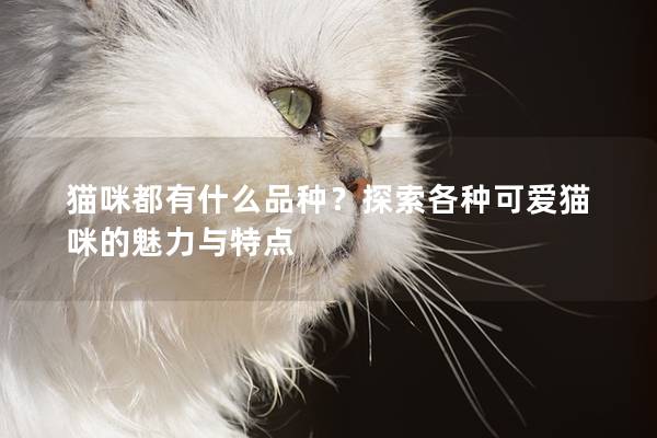 貓咪都有什么品種？探索各種可愛貓咪的魅力與特點