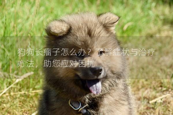 狗狗長瘤子怎么辦？了解癥狀與治療方法，助您應(yīng)對(duì)困擾