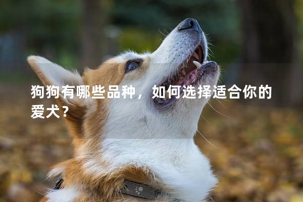 狗狗有哪些品種，如何選擇適合你的愛犬？