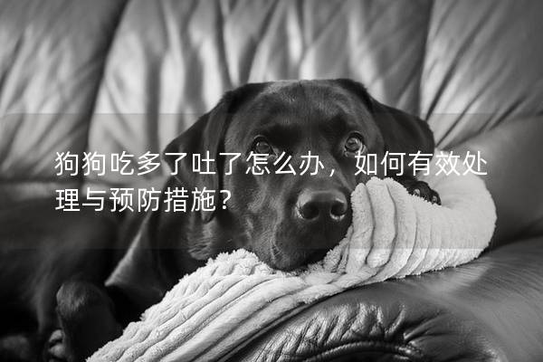 狗狗吃多了吐了怎么辦，如何有效處理與預(yù)防措施？