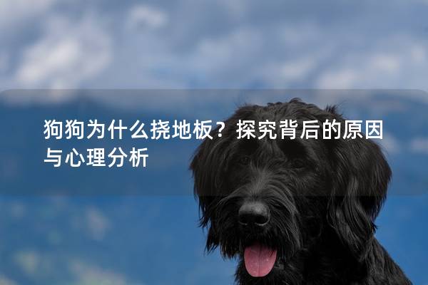 狗狗為什么撓地板？探究背后的原因與心理分析