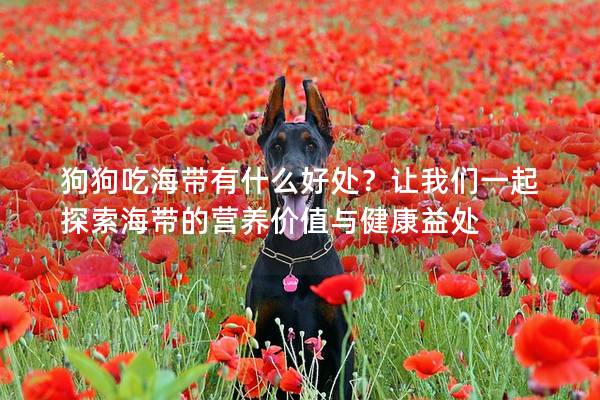 狗狗吃海帶有什么好處？讓我們一起探索海帶的營養價值與健康益處