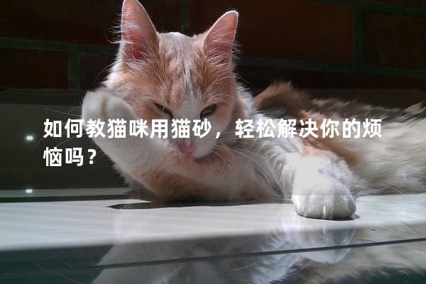如何教貓咪用貓砂，輕松解決你的煩惱嗎？
