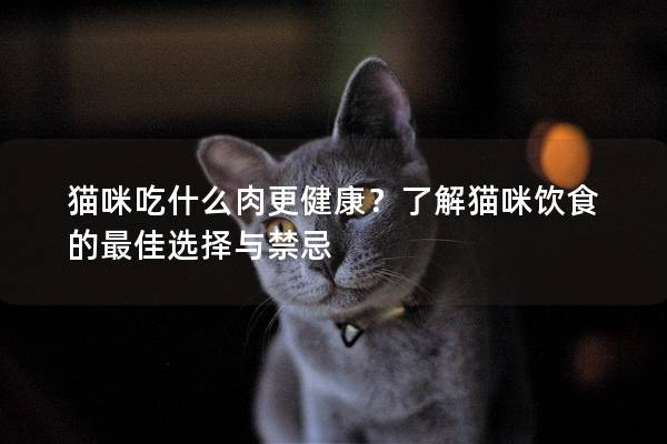 貓咪吃什么肉更健康？了解貓咪飲食的最佳選擇與禁忌