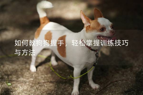 如何教狗狗握手，輕松掌握訓(xùn)練技巧與方法