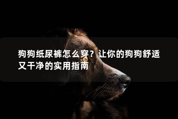 狗狗紙尿褲怎么穿？讓你的狗狗舒適又干凈的實(shí)用指南