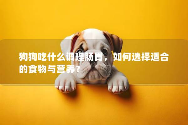 狗狗吃什么調(diào)理腸胃，如何選擇適合的食物與營(yíng)養(yǎng)？