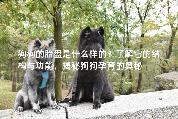 狗狗的胎盤是什么樣的？了解它的結構與功能，揭秘狗狗孕育的奧秘