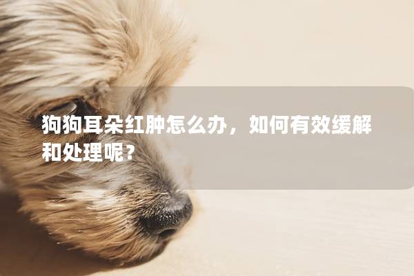 狗狗耳朵紅腫怎么辦，如何有效緩解和處理呢？