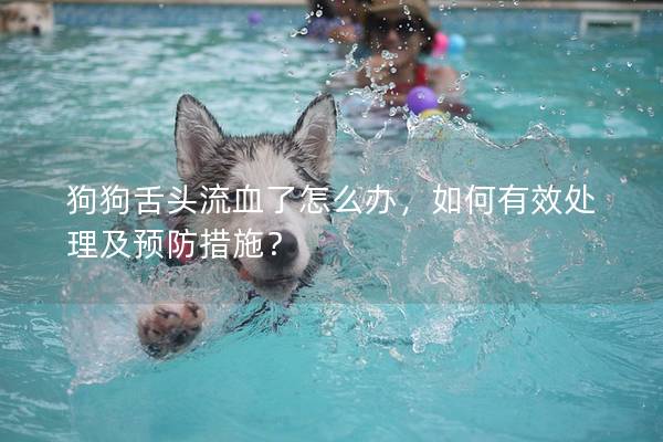 狗狗舌頭流血了怎么辦，如何有效處理及預防措施？