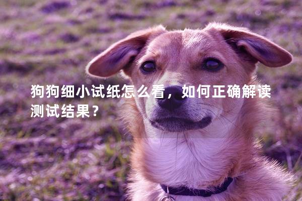 狗狗細小試紙怎么看，如何正確解讀測試結果？
