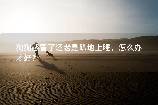 狗狗感冒了還老是趴地上睡,怎么辦才好? 狗狗感冒了還老是趴地上睡,怎么辦才好?