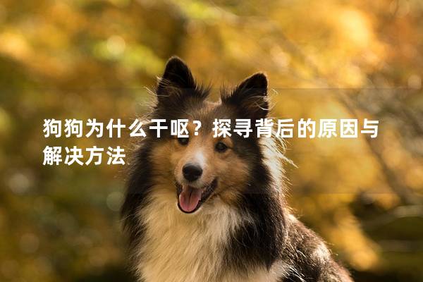 狗狗為什么干嘔?探尋背后的原因與解決方法 狗狗為什么干嘔?探尋背后的原因與解決方法