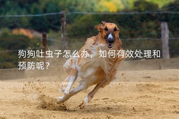 狗狗吐蟲(chóng)子怎么辦，如何有效處理和預(yù)防呢？