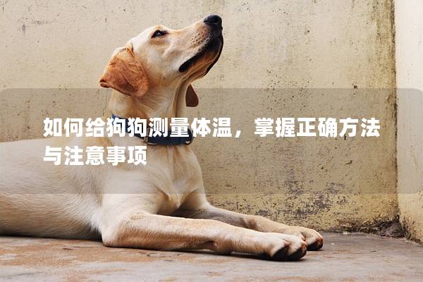 如何給狗狗測量體溫，掌握正確方法與注意事項