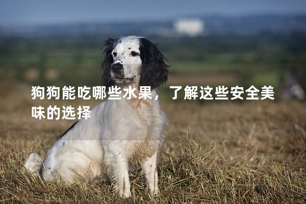 狗狗能吃哪些水果，了解這些安全美味的選擇