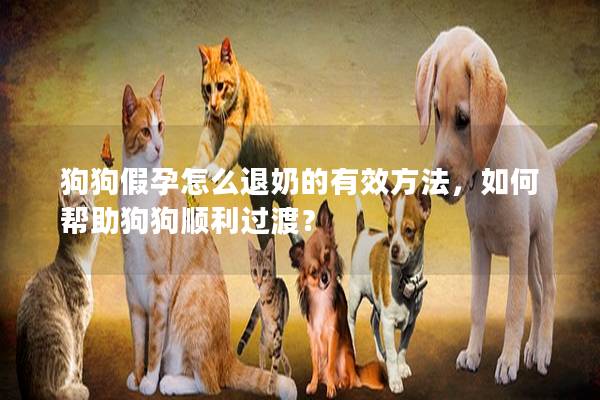狗狗假孕怎么退奶的有效方法，如何幫助狗狗順利過(guò)渡？