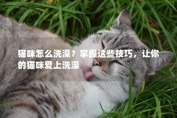 貓咪怎么洗澡？掌握這些技巧，讓你的貓咪愛上洗澡
