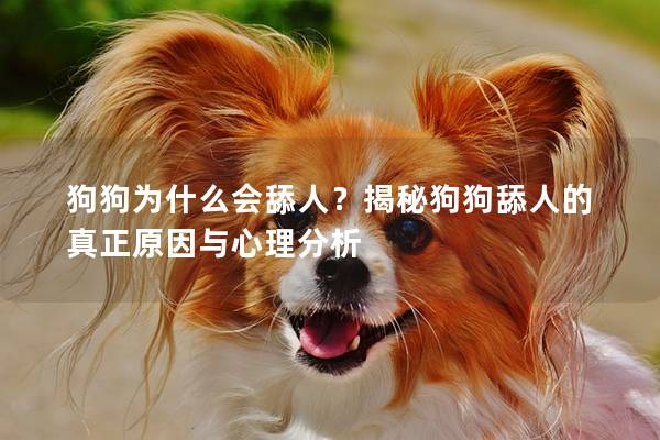 狗狗為什么會舔人？揭秘狗狗舔人的真正原因與心理分析