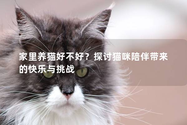 家里養貓好不好？探討貓咪陪伴帶來的快樂與挑戰