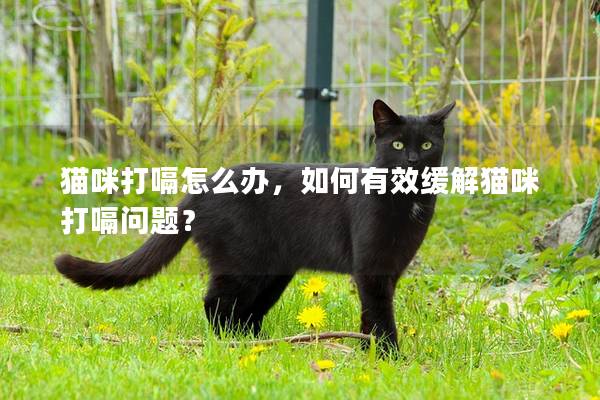 貓咪打嗝怎么辦，如何有效緩解貓咪打嗝問題？