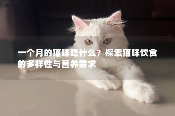 一個月的貓咪吃什么？探索貓咪飲食的多樣性與營養需求