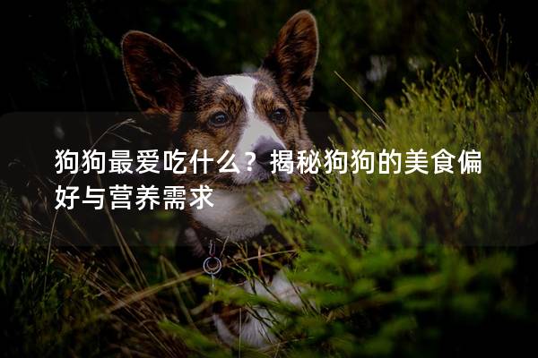 狗狗最愛吃什么？揭秘狗狗的美食偏好與營養需求