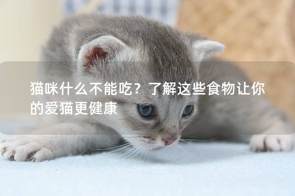 貓咪什么不能吃？了解這些食物讓你的愛貓更健康