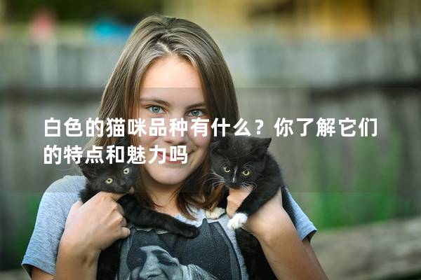 白色的貓咪品種有什么？你了解它們的特點和魅力嗎
