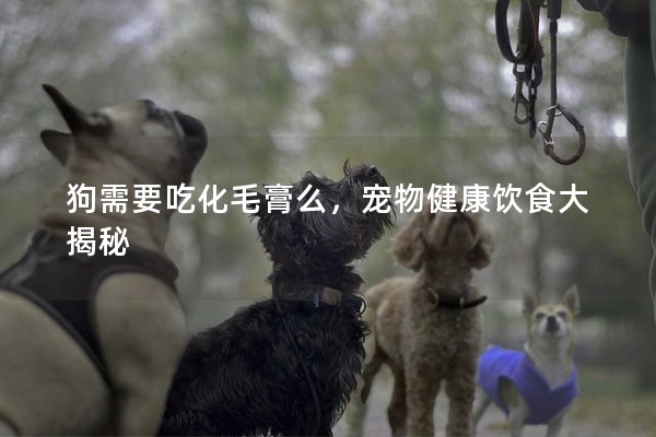 狗需要吃化毛膏么,寵物健康飲食大揭秘 狗需要吃化毛膏么,寵物健康飲食大揭秘