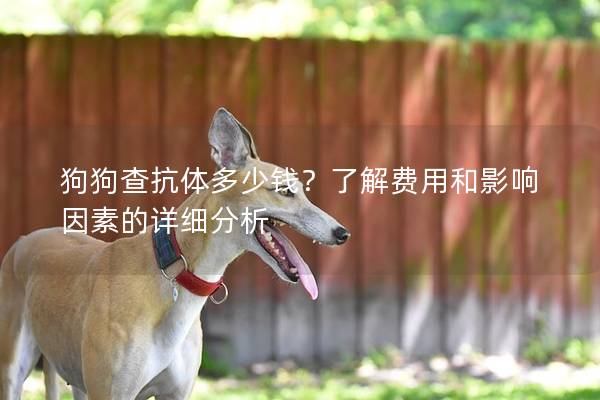狗狗查抗體多少錢？了解費(fèi)用和影響因素的詳細(xì)分析