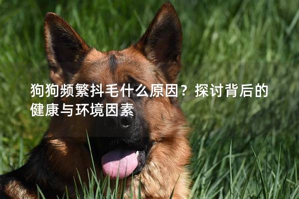 狗狗頻繁抖毛什么原因？探討背后的健康與環境因素