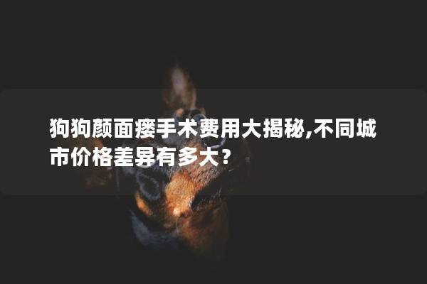 狗狗顏面瘺手術費用大揭秘,不同城市價格差異有多大？