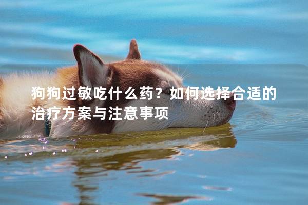 狗狗過敏吃什么藥？如何選擇合適的治療方案與注意事項