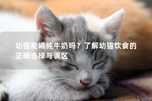 幼貓能喝純牛奶嗎？了解幼貓飲食的正確選擇與誤區(qū)