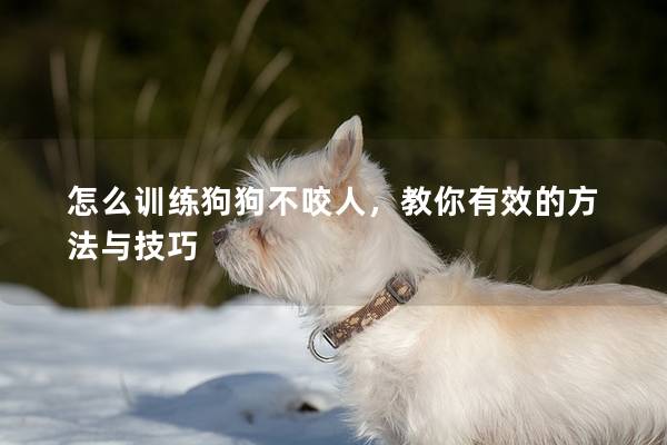 怎么訓練狗狗不咬人，教你有效的方法與技巧