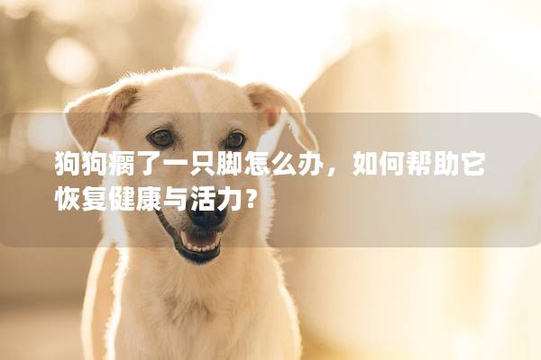 狗狗瘸了一只腳怎么辦，如何幫助它恢復(fù)健康與活力？