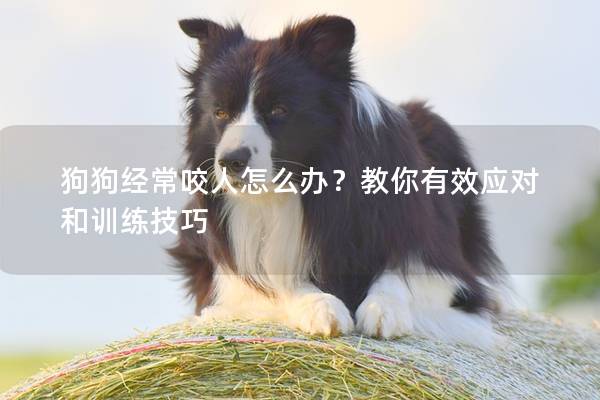 狗狗經常咬人怎么辦？教你有效應對和訓練技巧