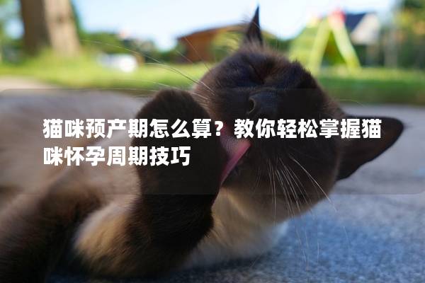 貓咪預產期怎么算？教你輕松掌握貓咪懷孕周期技巧