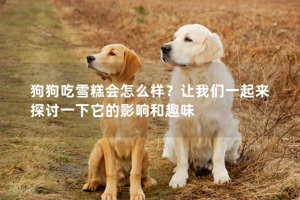 狗狗吃雪糕會怎么樣？讓我們一起來探討一下它的影響和趣味