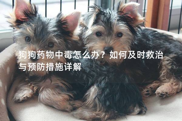 狗狗藥物中毒怎么辦？如何及時救治與預防措施詳解