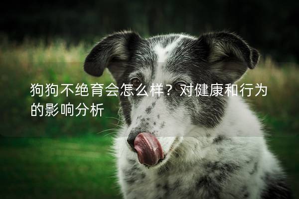 狗狗不絕育會怎么樣？對健康和行為的影響分析