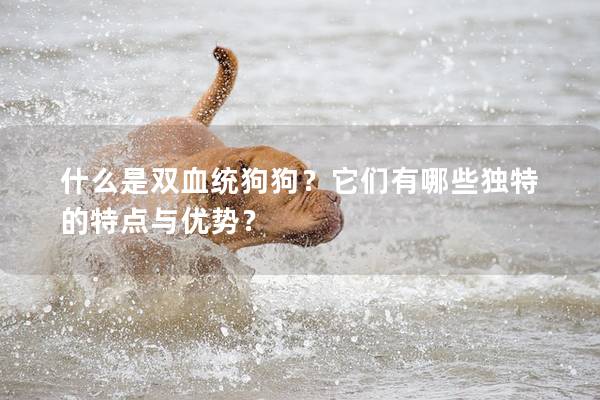 什么是雙血統(tǒng)狗狗？它們有哪些獨特的特點與優(yōu)勢？