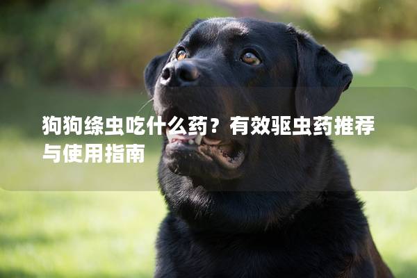 狗狗絳蟲吃什么藥？有效驅(qū)蟲藥推薦與使用指南