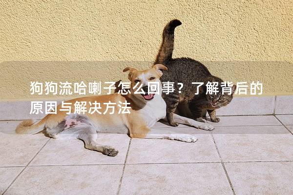 狗狗流哈喇子怎么回事？了解背后的原因與解決方法
